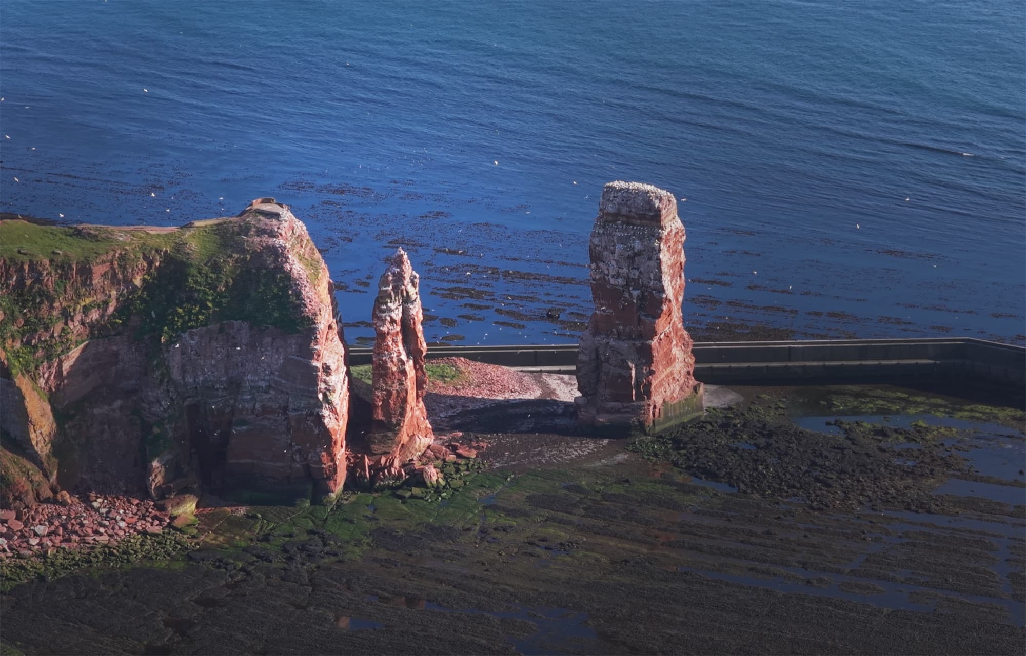 Luftbild der Helgoländer Nordwestspitze: rechts der wuchtige Felsturm der Langen Anna, in der Mitte die schlankere Kleine Anna, dahinter die Schutzmauer und das Meer.